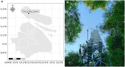 Intra-annual carbon fluxes and resource use efficiency of subtropical urban forests: insights from Chongming Island ecological observatory